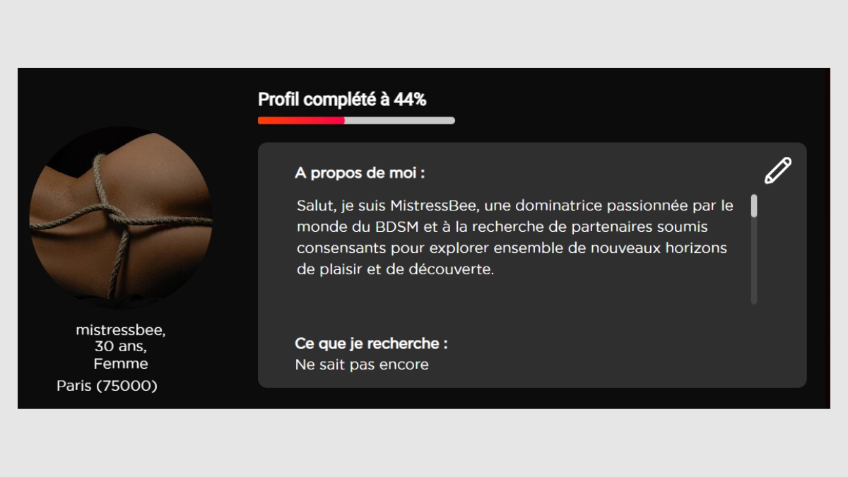 DOMICOM tchat